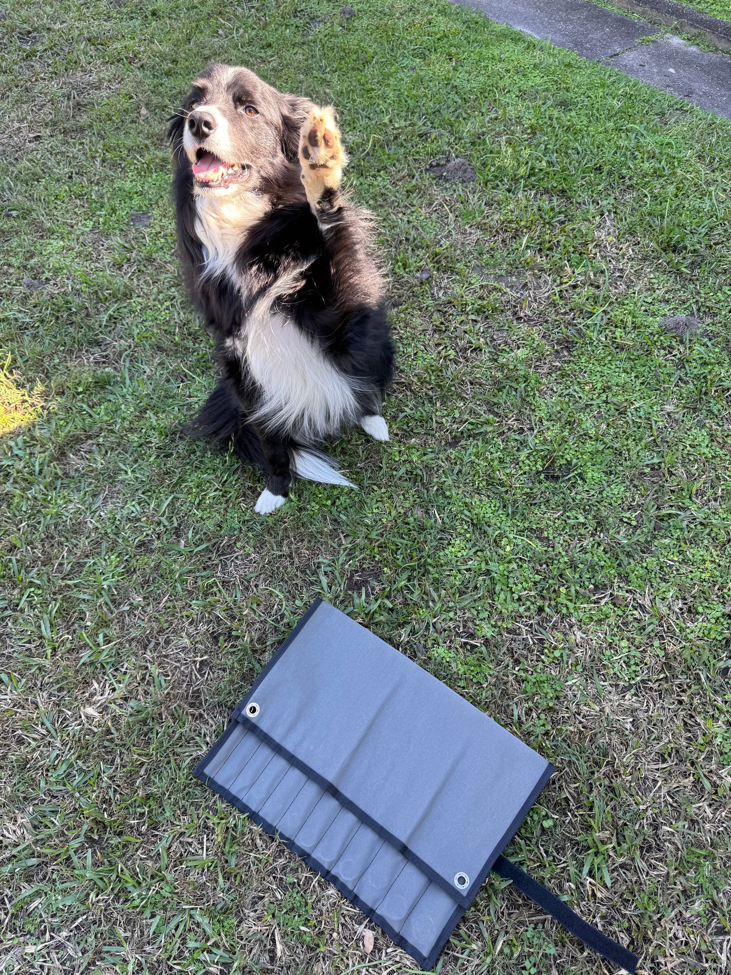 Canvas Spanner Roll - 12 Pocket